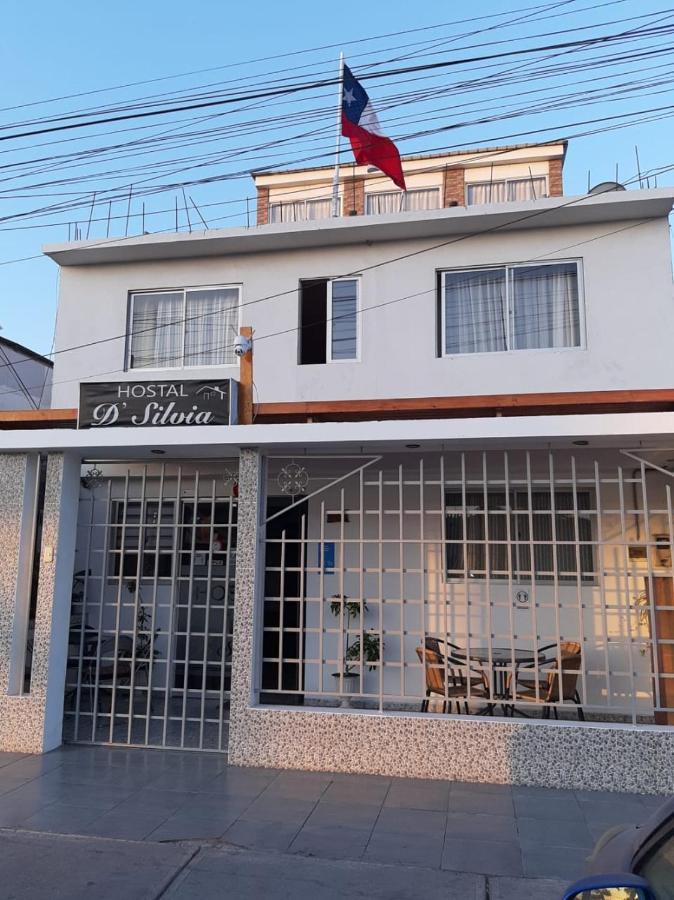 Hostal D' Silvia อารีกา ภายนอก รูปภาพ